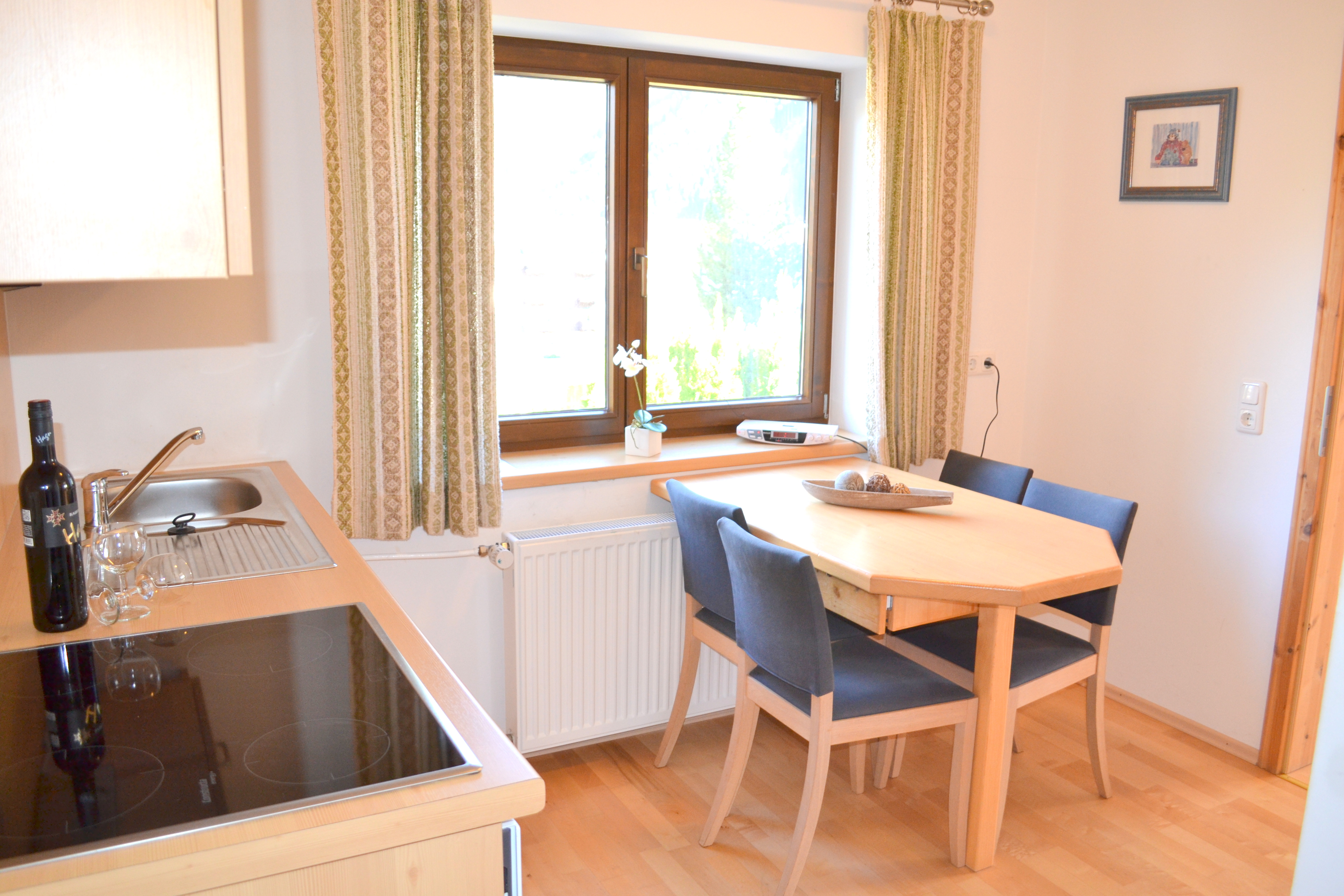 Ferienwohnung 1 - Appartement mit 1 Schlafzimmer